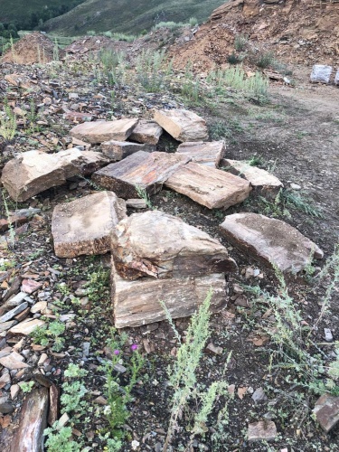 Пошаговая дорожка из плит златолит кора дерева купить в Павловском Посаде